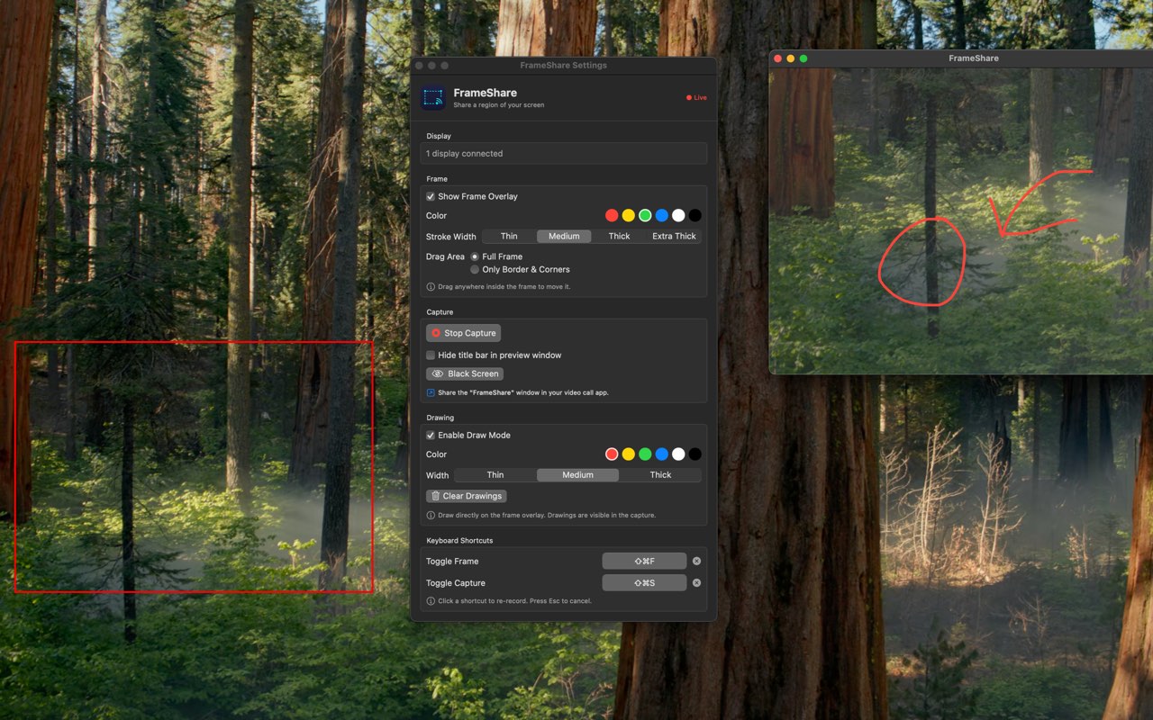 Frame Share: sharing just a part of your screen