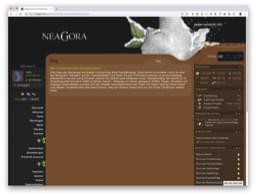 Der FAQ-Artikel zum Neagora-Kampfsystem